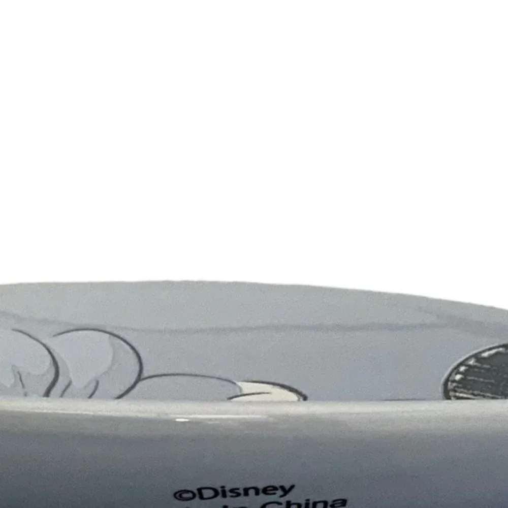 Disney mickey mouse